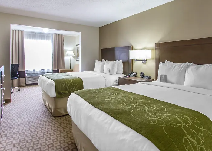 Comfort At Mall Hotel Tucson